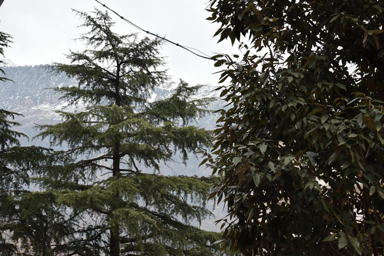 Hotel Akash - Luxury Hotel In Mcleodganj McLeod Ganj Exterior foto